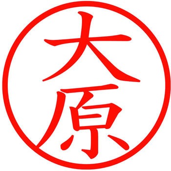 ネームキューブ ネーム印 印鑑 (オ) PLUS(プラス)[文具]