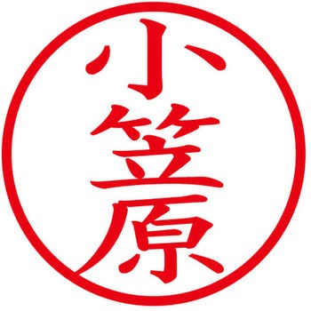 ネームキューブ ネーム印 印鑑 (オ) PLUS(プラス)[文具]