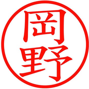ネームキューブ ネーム印 印鑑 (オ) PLUS(プラス)[文具]