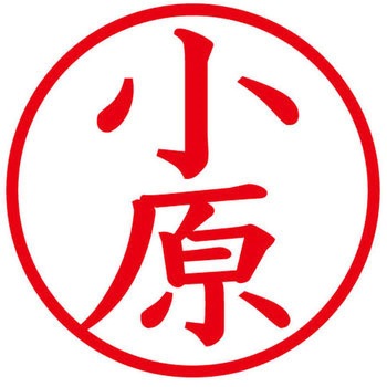 ネームキューブ ネーム印 印鑑 (オ) PLUS(プラス)[文具]