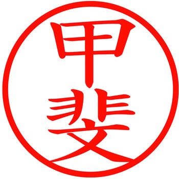 ネームキューブ ネーム印 印鑑 (カ) プラス(文具)
