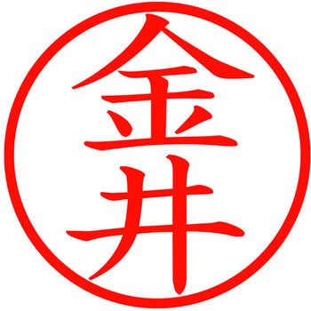 ネームキューブ ネーム印 印鑑 (カ) プラス(文具)