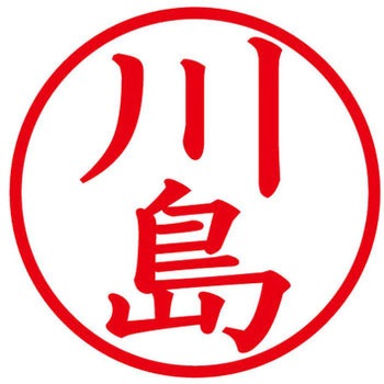 ネームキューブ ネーム印 印鑑 (カ) プラス(文具)