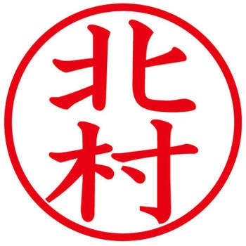 ネームキューブ ネーム印 印鑑 (キ) PLUS(プラス)[文具]