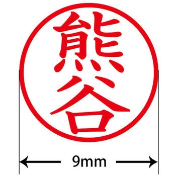 ネームキューブ ネーム印 印鑑 (ク) PLUS(プラス)[文具]