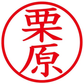 ネームキューブ ネーム印 印鑑 (ク) PLUS(プラス)[文具]