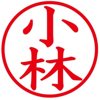 ネームキューブ ネーム印 印鑑 (コ) PLUS(プラス)[文具]