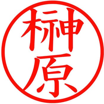 ネームキューブ ネーム印 印鑑 (サ) PLUS(プラス)[文具]