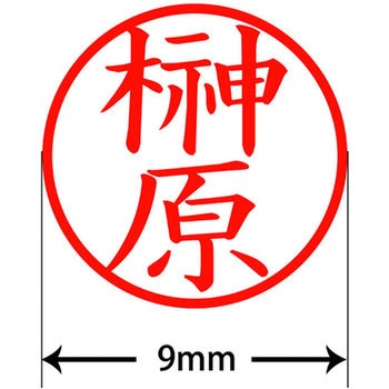 ネームキューブ ネーム印 印鑑 (サ) PLUS(プラス)[文具]