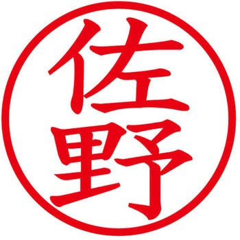 ネームキューブ ネーム印 印鑑 (サ) PLUS(プラス)[文具]