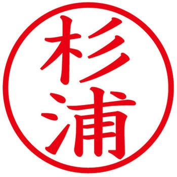 ネームキューブ ネーム印 印鑑 (ス) PLUS(プラス)[文具]