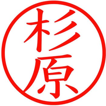 ネームキューブ ネーム印 印鑑 (ス) PLUS(プラス)[文具]