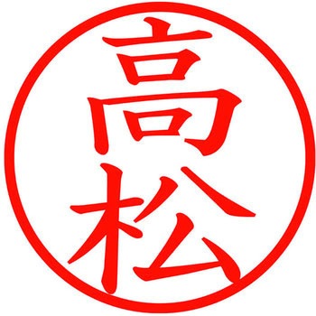 ネームキューブ ネーム印 印鑑 (タ) プラス(文具)