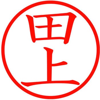 ネームキューブ ネーム印 印鑑 (タ) プラス(文具)