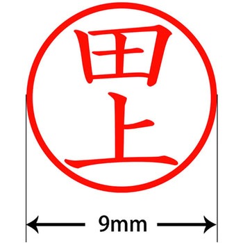 ネームキューブ ネーム印 印鑑 (タ) プラス(文具)