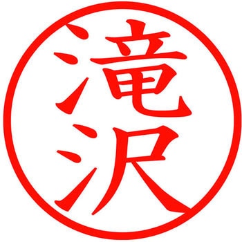 ネームキューブ ネーム印 印鑑 (タ) プラス(文具)
