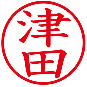 ネームキューブ ネーム印 印鑑 (ツ) PLUS(プラス)[文具]