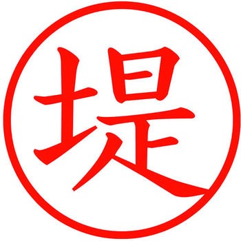 ネームキューブ ネーム印 印鑑 (ツ) PLUS(プラス)[文具]
