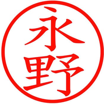 ネームキューブ ネーム印 印鑑 (ナ) PLUS(プラス)[文具]