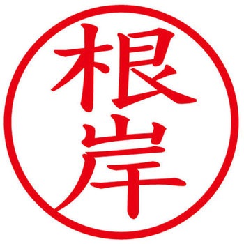 ネームキューブ ネーム印 印鑑 (ネ) プラス(文具)