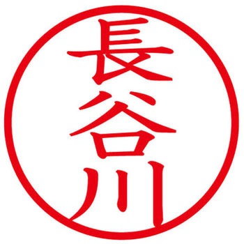 ネームキューブ ネーム印 印鑑 (ハ) PLUS(プラス)[文具]