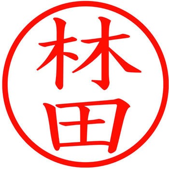 ネームキューブ ネーム印 印鑑 (ハ) PLUS(プラス)[文具]