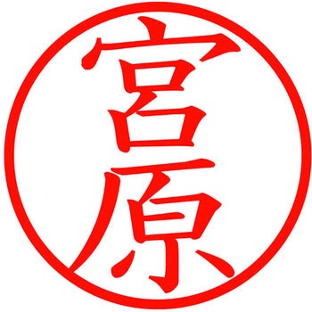 ネームキューブ ネーム印 印鑑 (ミ) PLUS(プラス)[文具]
