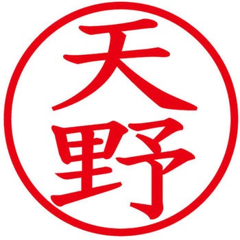 ネームキューブ ネーム印 印鑑 (ア) PLUS(プラス)[文具]