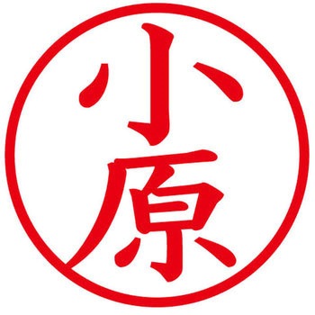 ネームキューブ ネーム印 印鑑 (オ) PLUS(プラス)[文具]