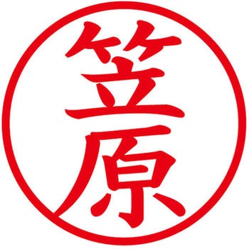 ネームキューブ ネーム印 印鑑 (カ) プラス(文具)