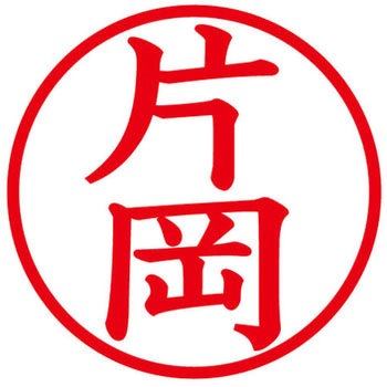 ネームキューブ ネーム印 印鑑 (カ) プラス(文具)