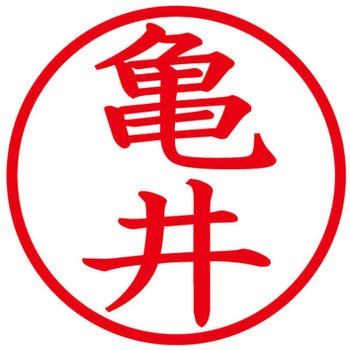 ネームキューブ ネーム印 印鑑 (カ) プラス(文具)