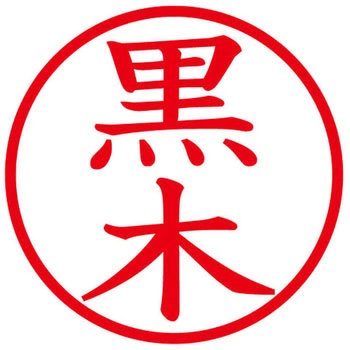 ネームキューブ ネーム印 印鑑 (ク) PLUS(プラス)[文具]
