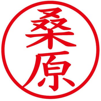 ネームキューブ ネーム印 印鑑 (ク) PLUS(プラス)[文具]
