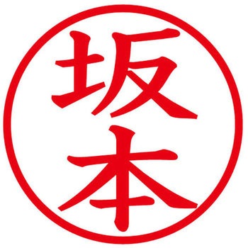 ネームキューブ ネーム印 印鑑 (サ) PLUS(プラス)[文具]