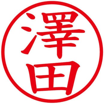 ネームキューブ ネーム印 印鑑 (サ) PLUS(プラス)[文具]