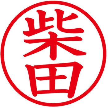 ネームキューブ ネーム印 印鑑 (シ) PLUS(プラス)[文具]