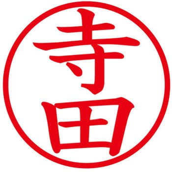 ネームキューブ ネーム印 印鑑 (テ) PLUS(プラス)[文具]