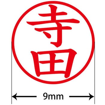 ネームキューブ ネーム印 印鑑 (テ) PLUS(プラス)[文具]