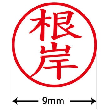 ネームキューブ ネーム印 印鑑 (ネ) プラス(文具)