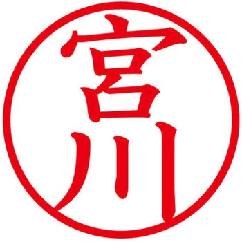 ネームキューブ ネーム印 印鑑 (ミ) PLUS(プラス)[文具]