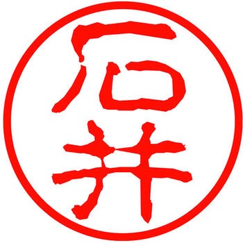 ネームキューブ ネーム印 印鑑 古印体(イ) PLUS(プラス)[文具]