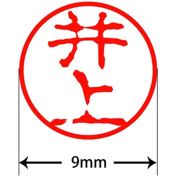 ネームキューブ ネーム印 印鑑 古印体(イ) PLUS(プラス)[文具]