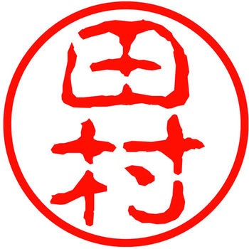 ネームキューブ ネーム印 印鑑 古印体(タ) PLUS(プラス)[文具]