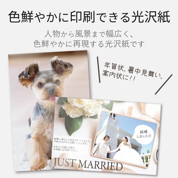 はがき用紙 光沢紙 厚手 CANON用 ポストカード ホワイト エレコム