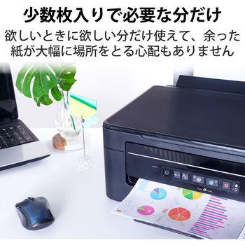写真用紙 片面光沢 写真印刷 30枚入 A4サイズ エレコム