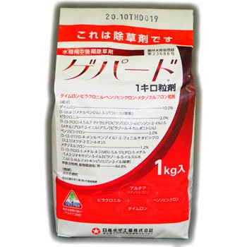 - Qp[h1L Yw 31607258