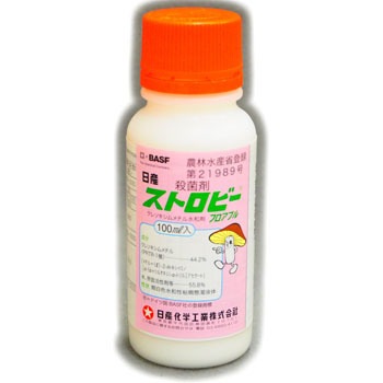 - �X�g���r�[�t���A�u�� ���Y���w 31607276