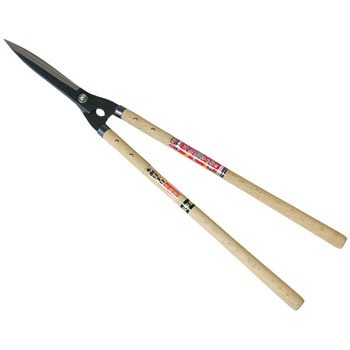 #190910 ���� ������ �����|�t �󍁍H�� 31638067