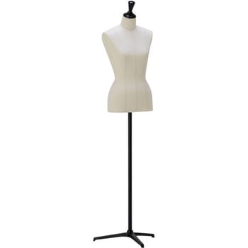 婦人ニュースタンダードボディ キャンバス張 サンクリエイト